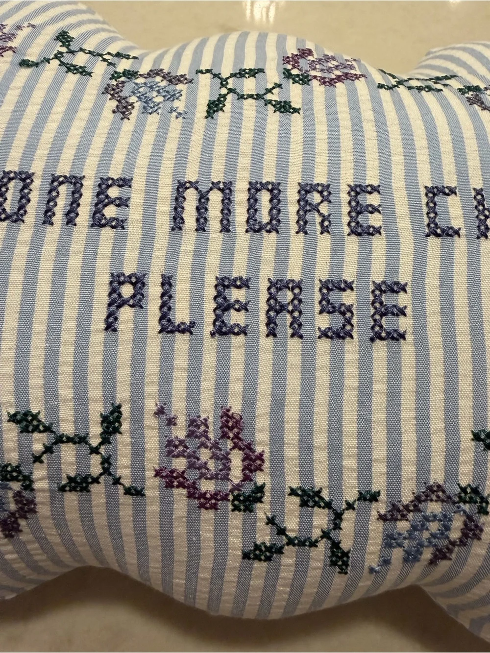 Embroidered 'Just One More Chapter Please' Decorative Pillow - Blue Stripe